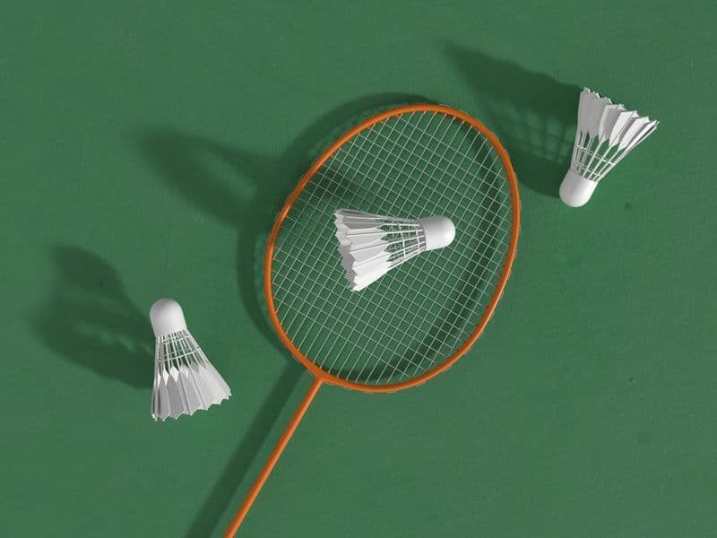 Badminton racket and shuttlecocks on a green court